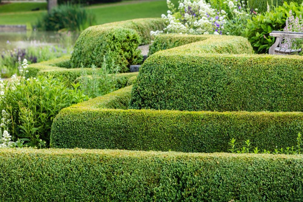 Jardin de Rhode-Saint-Genèse